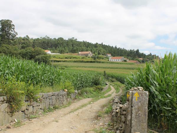 The Portuguese Way walking holiday