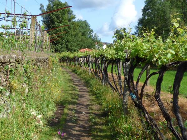 The Portuguese Way walking holiday