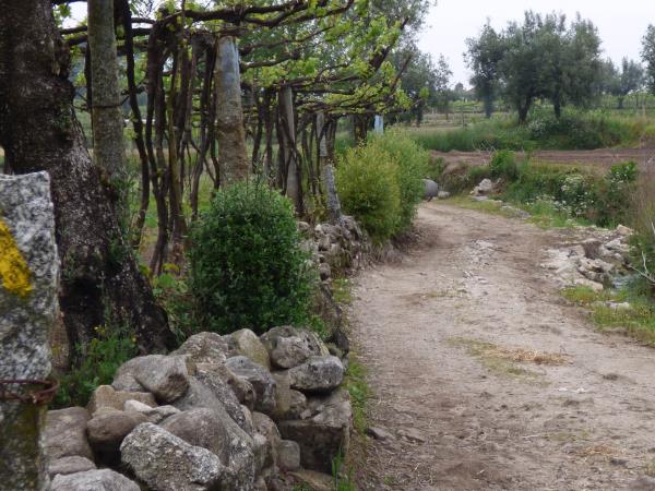 The Portuguese Way walking holiday