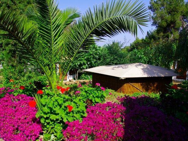 Holistic holiday in Greece