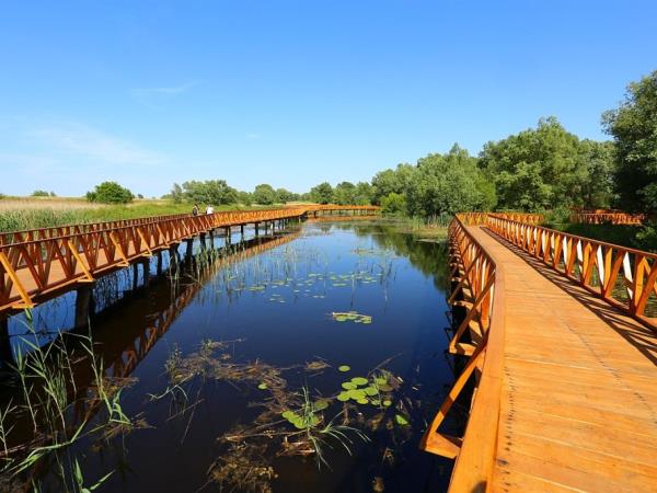Croatia and Bosnia tour, food and culture