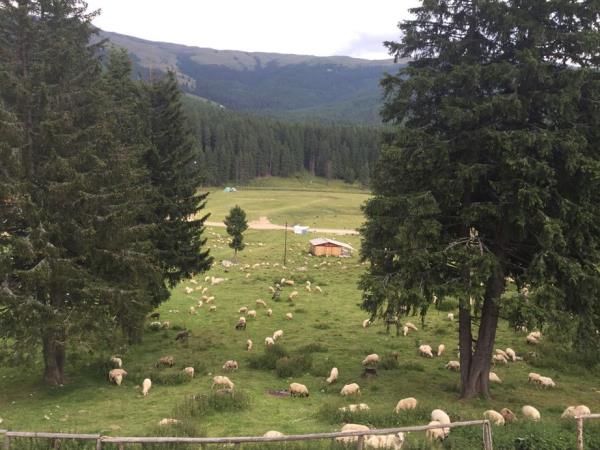 Romania family activity holiday