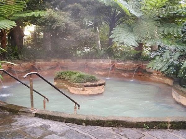 Azores whale watching and walking holiday