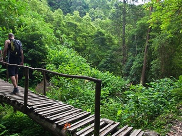 Azores family holiday, whale watching and walking