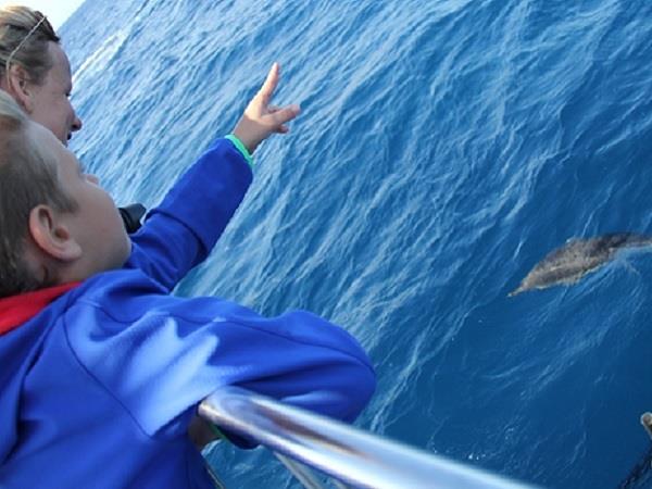 Azores family holiday, whale watching and walking