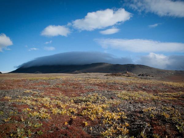 Russian Arctic Circle cruise with Wrangel Island