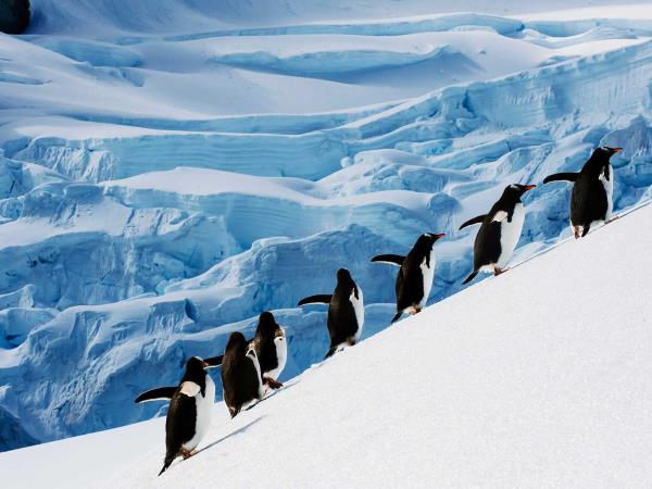 Antarctic Circle expedition cruise