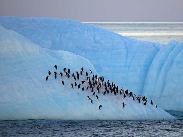 Antarctic Circle expedition cruise