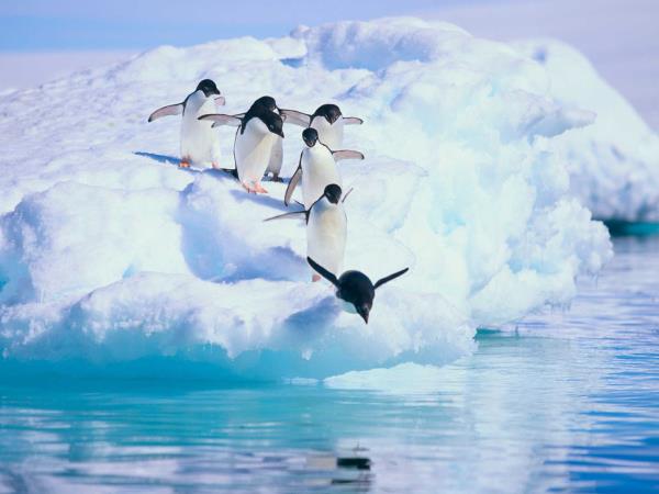 Antarctic Circle expedition cruise