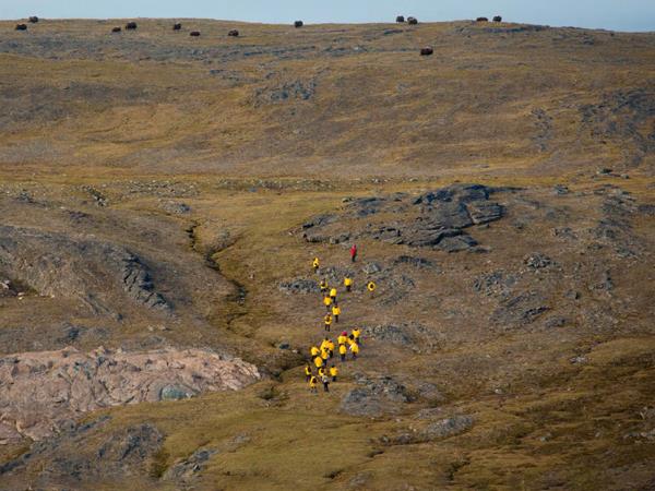 Western Arctic cruise, Canada and Greenland