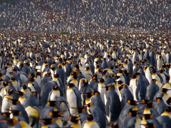 2021 solar eclipse cruise in Antarctica