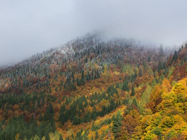 Slovenia photography holiday