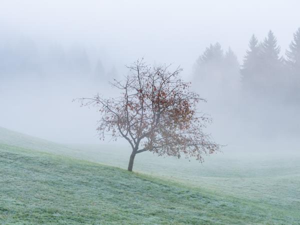 Slovenia photography holiday