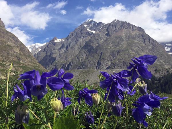 Mont Blanc walking holidays