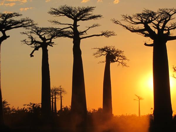Landscapes of Madagascar holiday