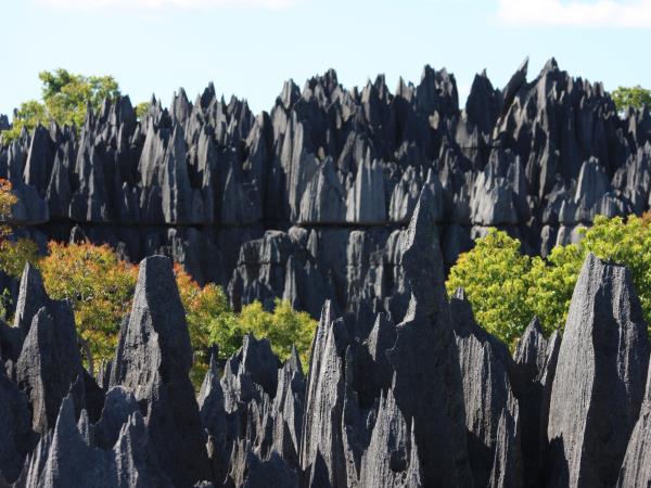 Landscapes of Madagascar holiday