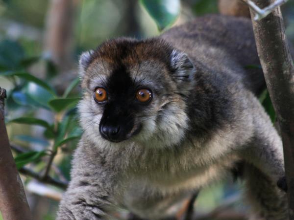 Landscapes of Madagascar holiday