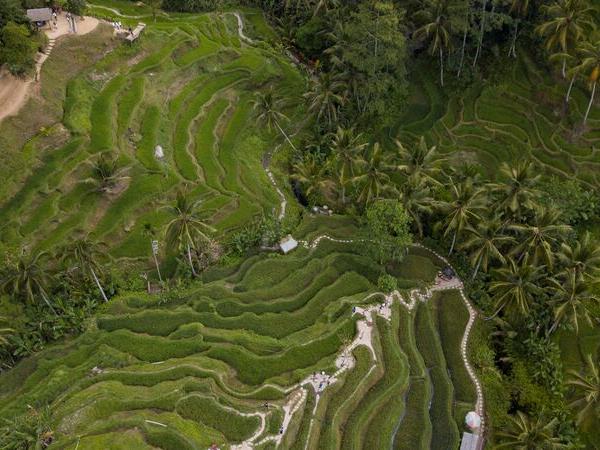 Bali & Gili Islands holiday for under 30's