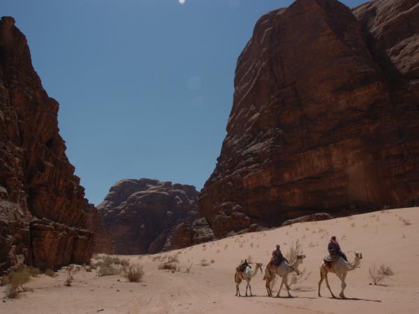Jordan desert and history tour