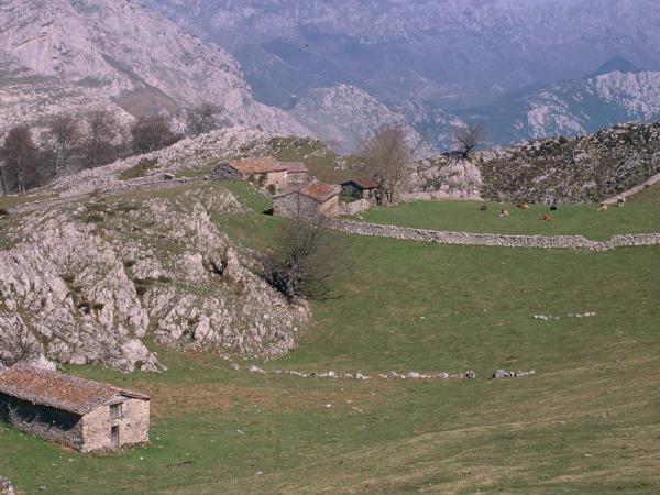 Picos de Europa walking holiday, Spain