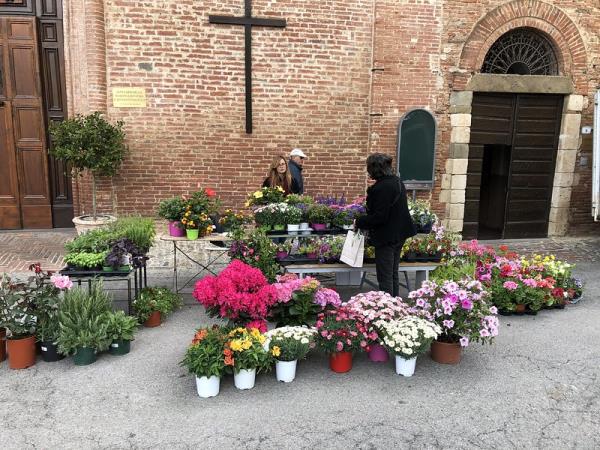 Tuscany villa holiday, 10 days