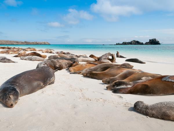 Galapagos tailor made holiday