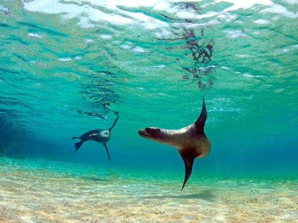 Galapagos tailor made holiday