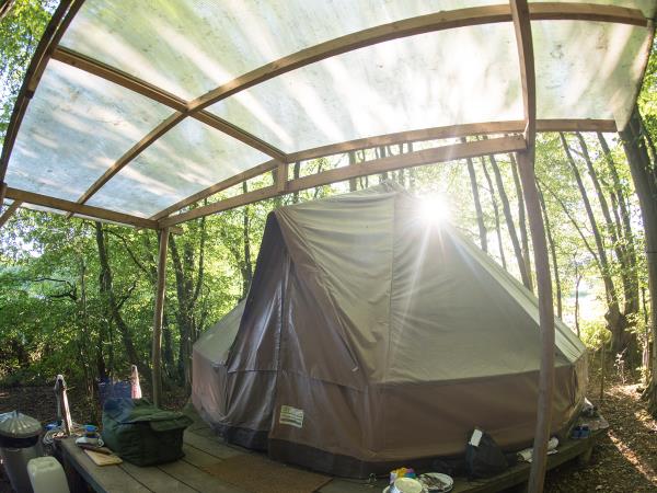 High Weald eco forest camping, England