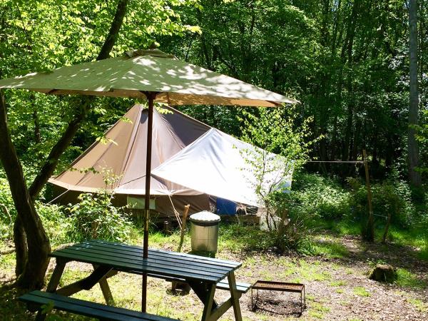 High Weald eco forest camping, England