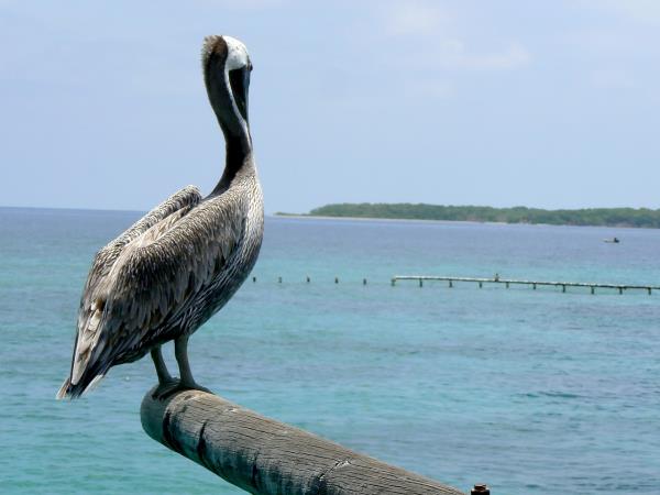 Colombia tailormade holiday