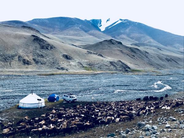 Western Mongolia tour, the Altai mountains & eagles