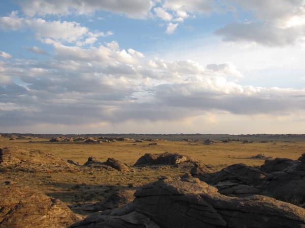 Wildlife research expedition in the Gobi Desert, Mongolia