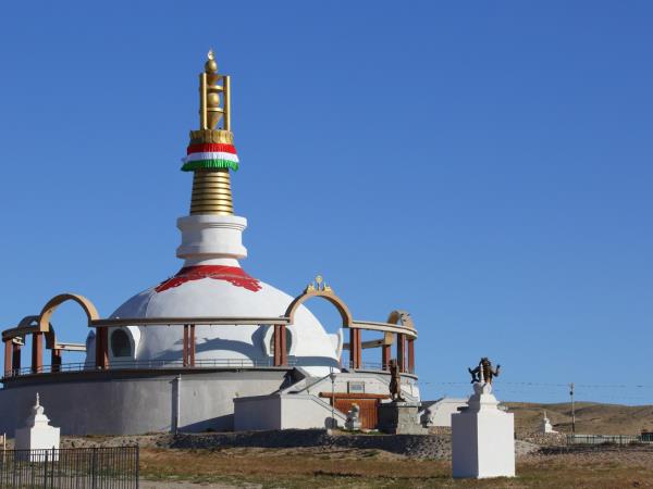 Wildlife research expedition in the Gobi Desert, Mongolia