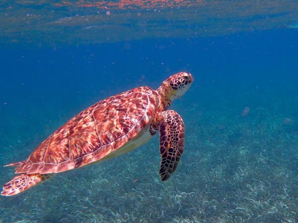 Highlights of Belize holiday, tailor made