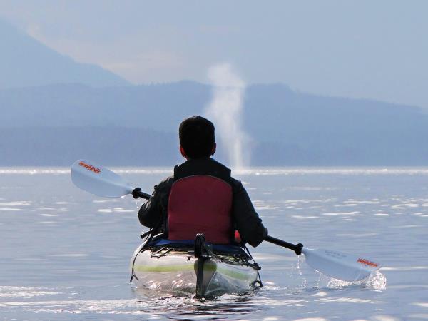 Orca kayaking and camping tour, Canada