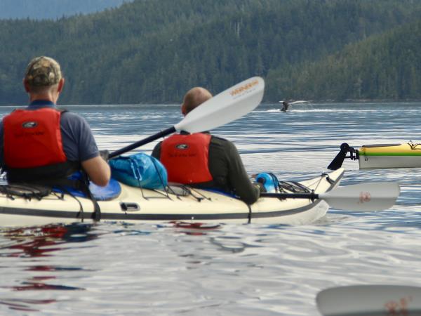 Orca kayaking and camping tour, Canada