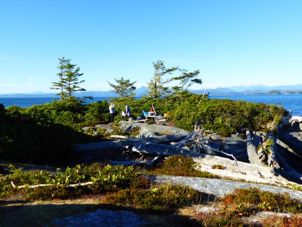Orca kayaking and camping tour, Canada