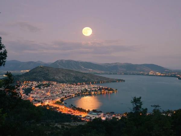 Northern Greece bear conservation tour
