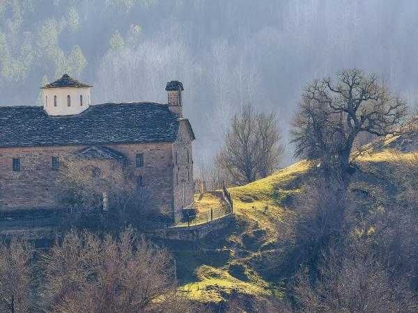 Brown bear tracking in Northern Greece