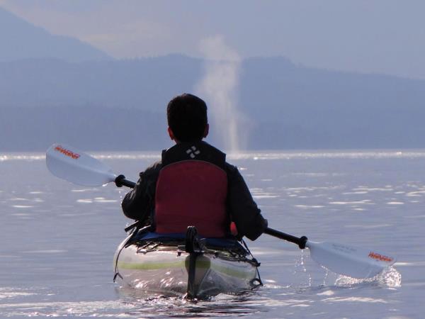 Swanson Island kayaking tour, Canada