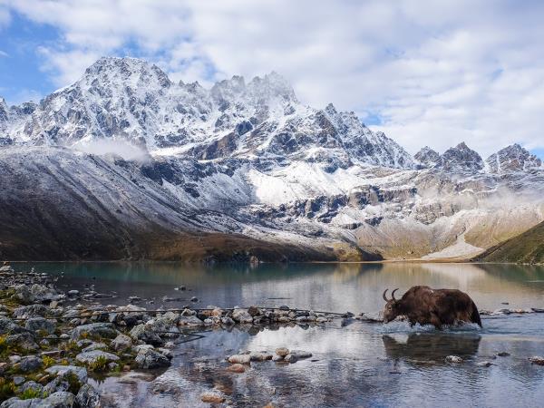 Everest Base Camp trek via Gokyo Lake