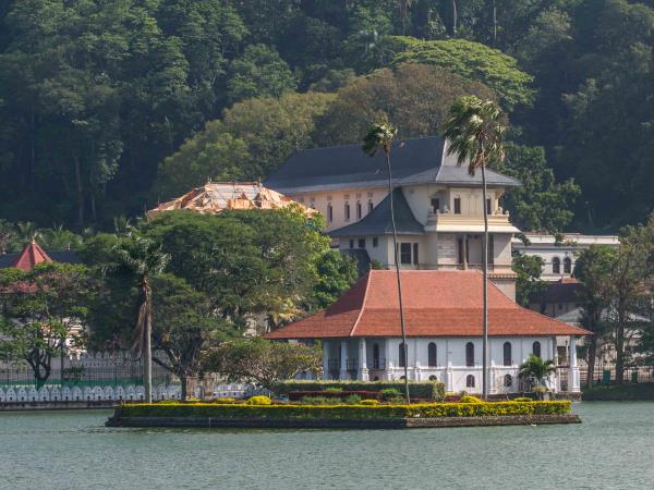 Sri Lanka tailor made family holiday