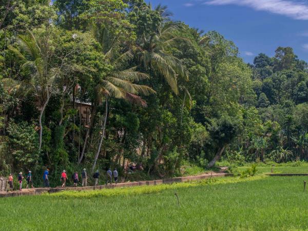 Sri Lanka tailor made family holiday