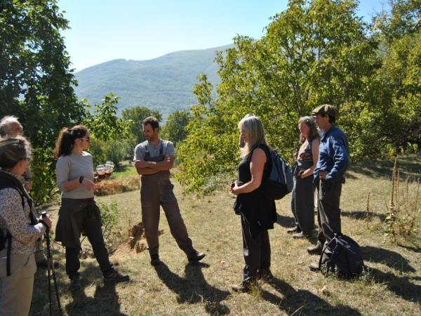 Brown bear tracking in Northern Greece
