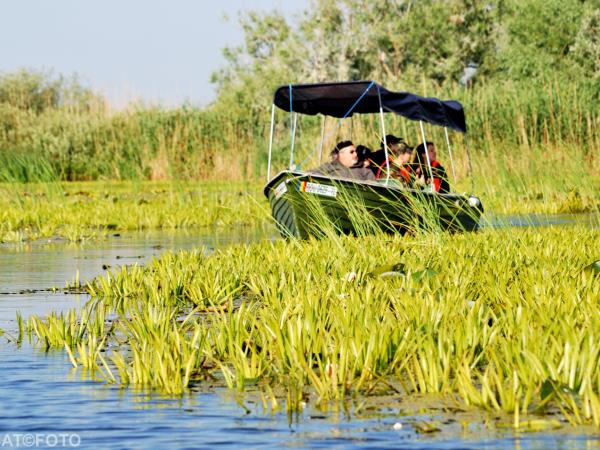 Danube Delta birding tour in Romania