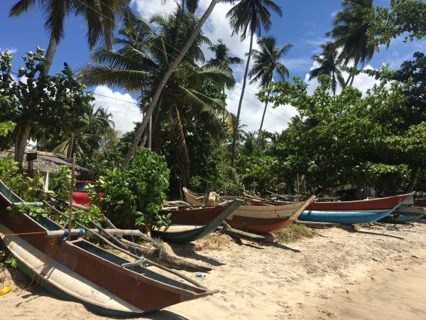 Sri Lanka tours, beyond the tourist trail