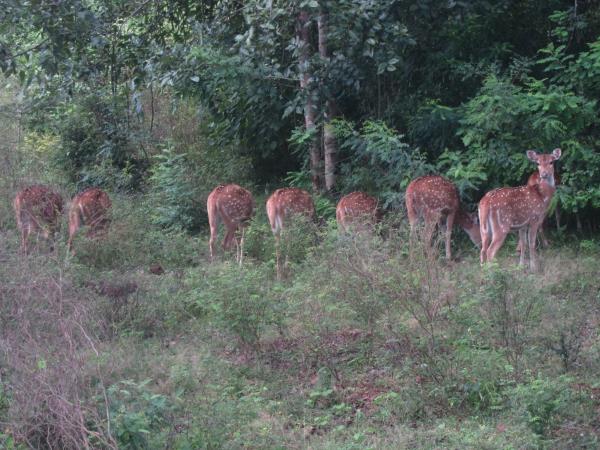 Sri Lanka tours, beyond the tourist trail