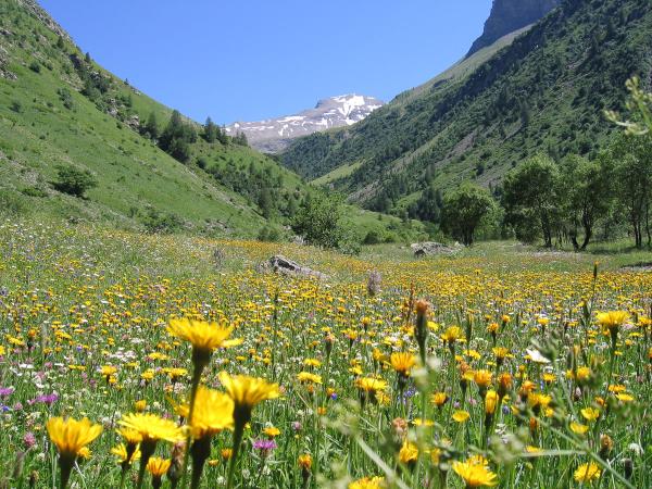 Gourmet alpine walking holiday, France
