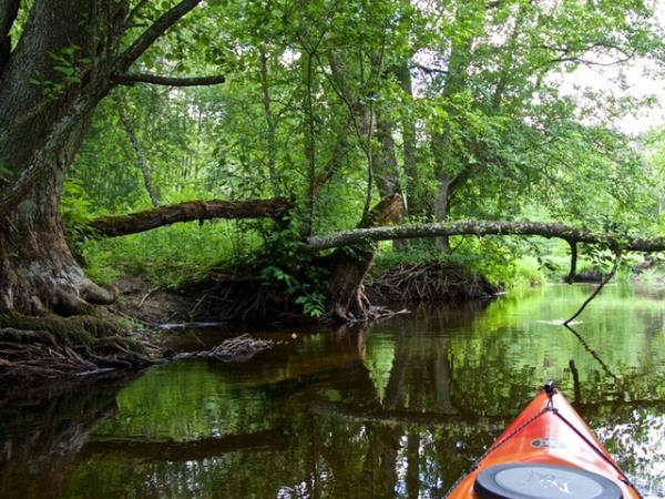 Canoeing & wild swimming holiday in Poland