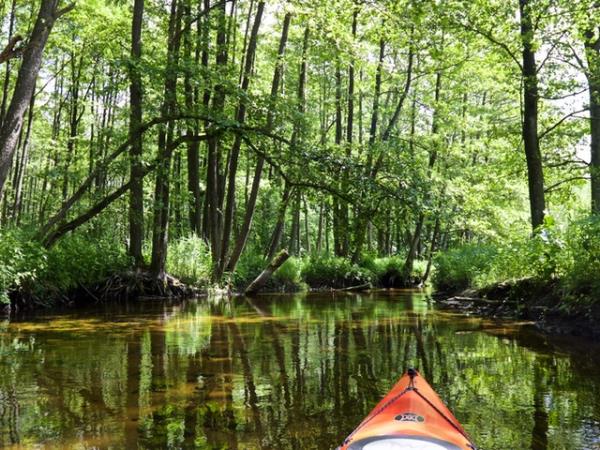 Canoeing & wild swimming holiday in Poland